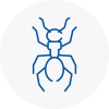 Ant Removals In Kensington