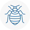 Bed Bug Extermination In Kensington