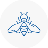 Bee Nest Removal Kensington