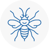 Kensington Hornet Nest Removals