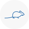 Mice Exterminators In Kensington