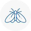 Moth Control Specialists In Kensington