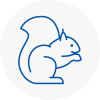Kensington Rodent Removals