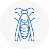 Kensington Wasp Nest Removal